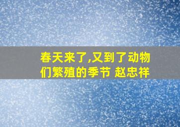 春天来了,又到了动物们繁殖的季节 赵忠祥